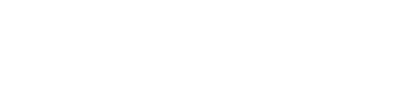 Levellr logo
